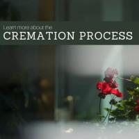 Palmetto Cremation Society image 3